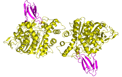 Calaméo - Ab 295 _2023 04 25